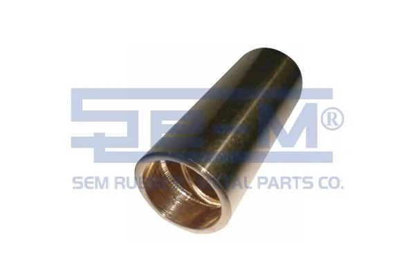 Bushing, leaf spring